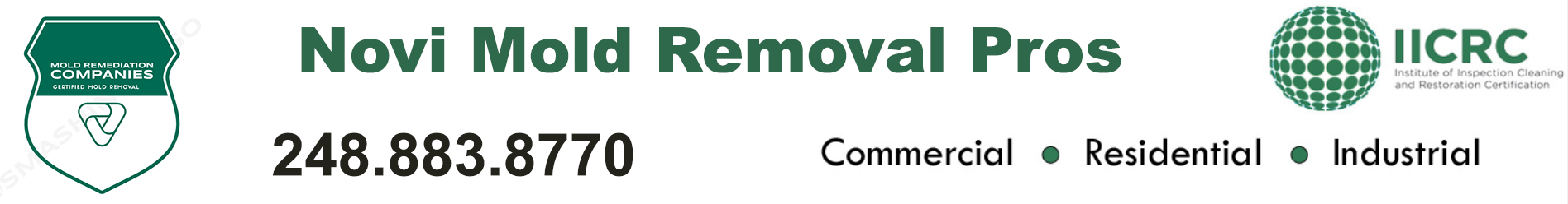 Novi Mold Removal Pros
