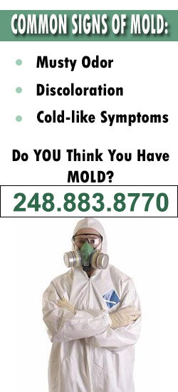 Novi Mold Remediation Contractor
